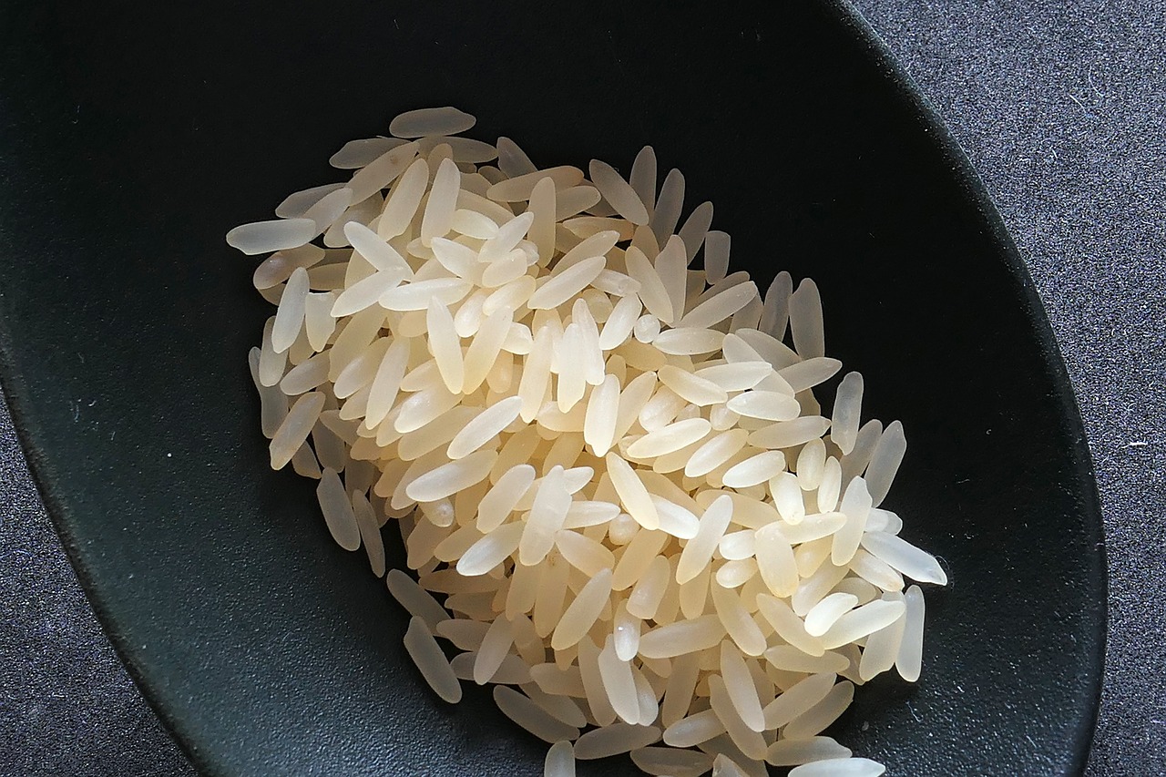 多大孕妈供卵生的宝宝能吃米饭（多大孕妈供卵生的宝宝可以吃米饭粒）